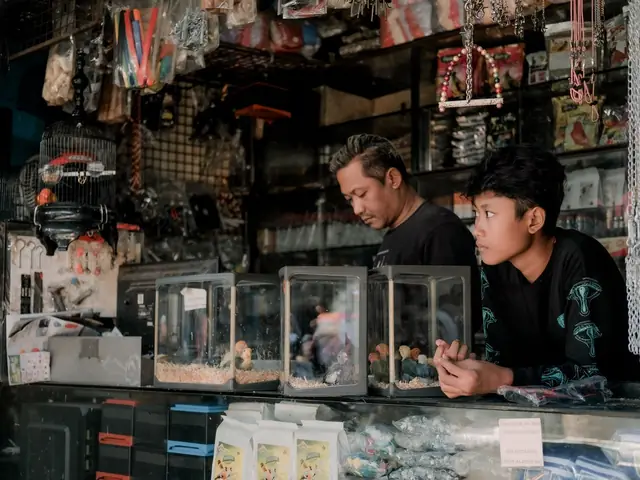 Dua orang di toko hewan dengan etalase kaca dan perlengkapan hewan